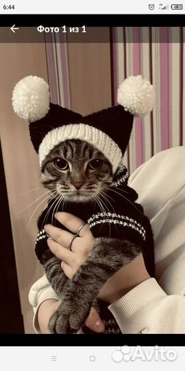 Одежда для собачек и кошечек