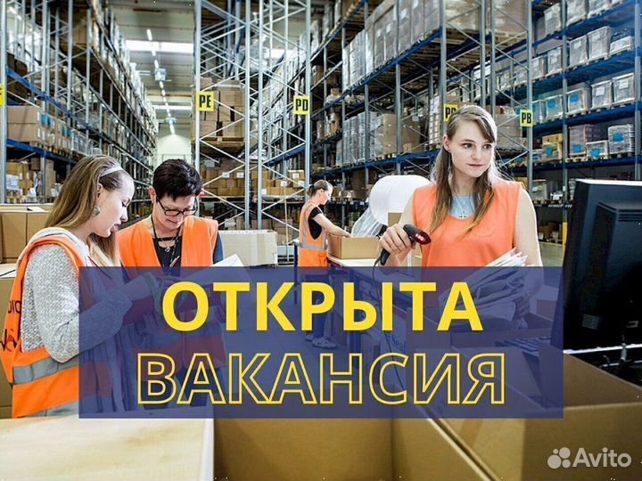 Водитель штабеллера