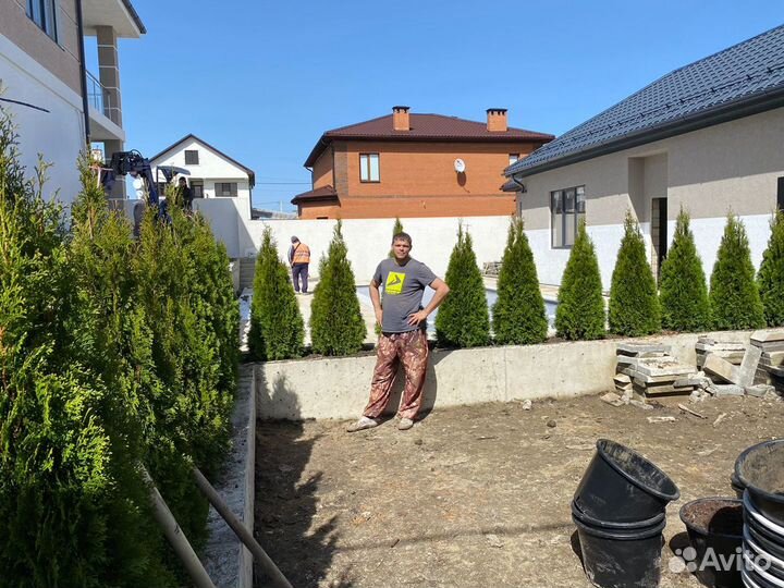 Озеленение и благоустройство