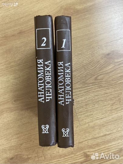 Анатомия человека Сапин