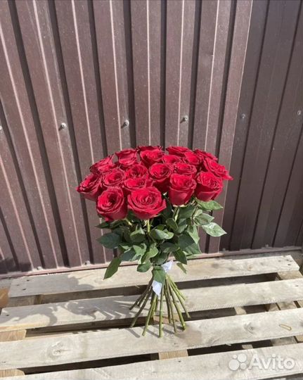 Розы эквадорские