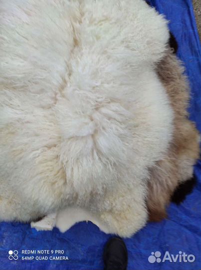 Овечья шкура