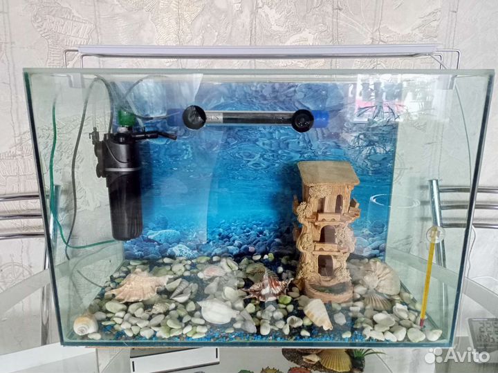 Аквариум на 60л полный комплект (под ключ)