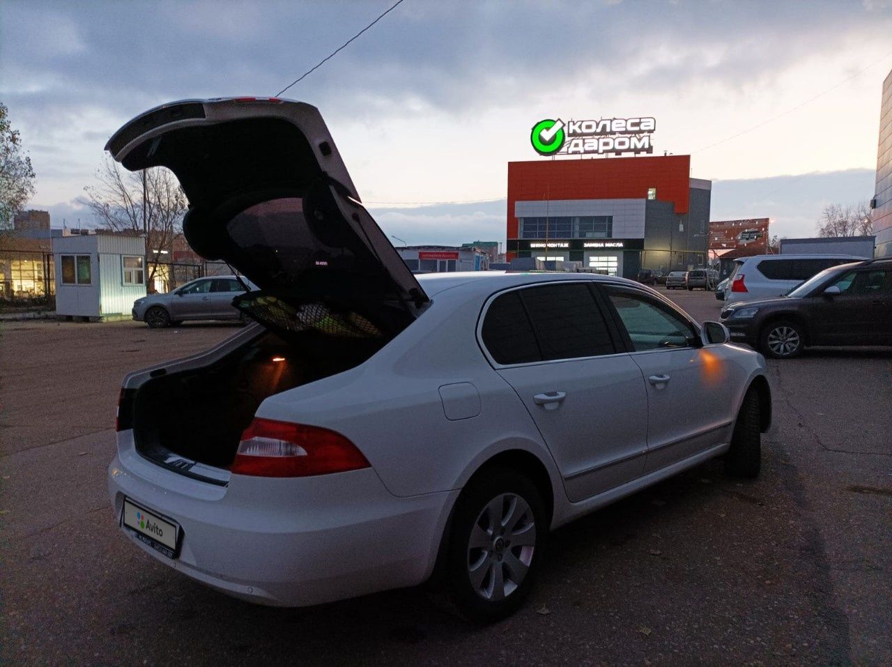 Skoda Superb: фото владельца