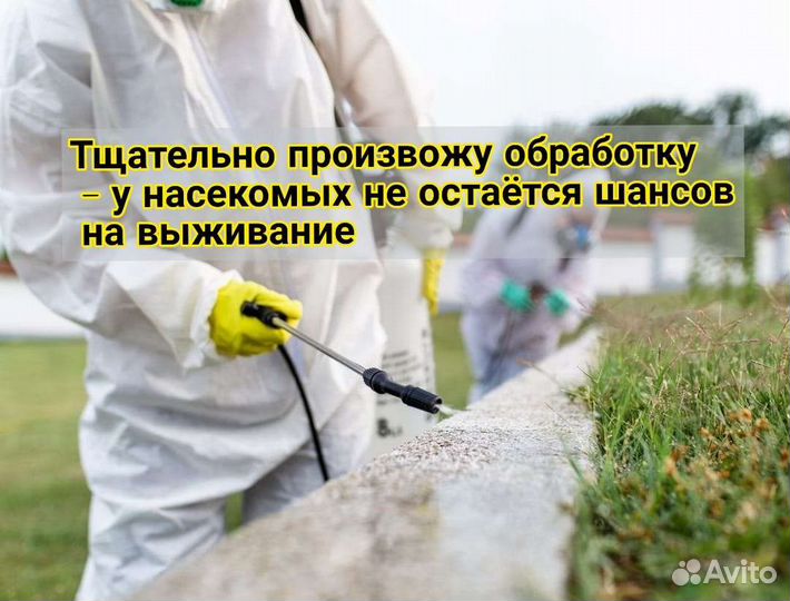 Обработка участков от вредителей