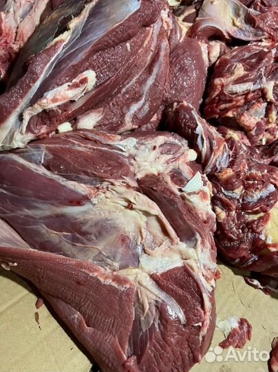Мясо говядина мякоть