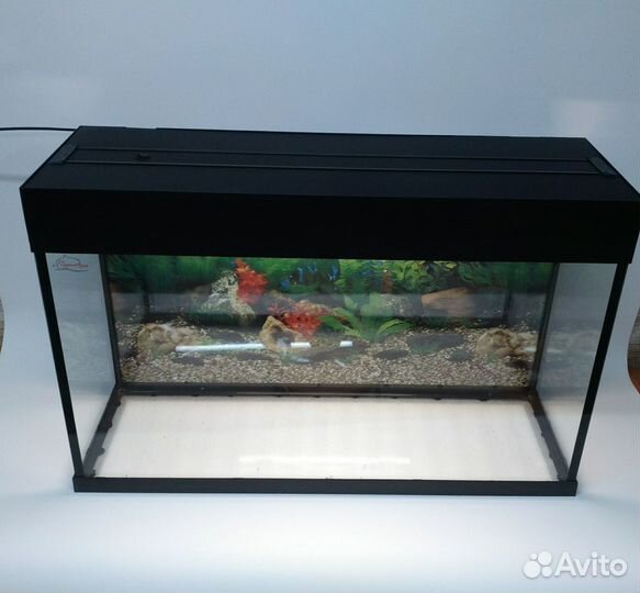 Аквариум на заказ