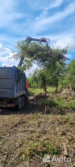 Спил деревьев и кустарников, опиловка