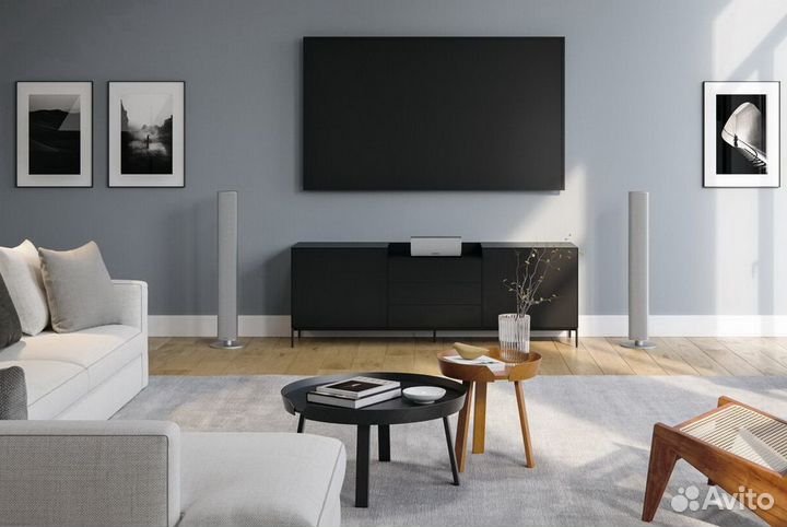 Напольная акустика Piega Ace 50 silver aluminum