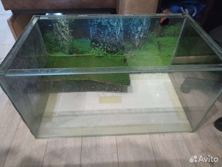 Аквариум для черепах