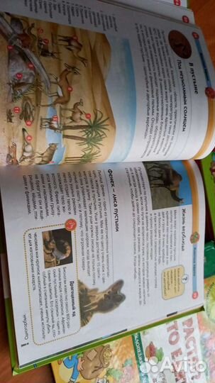 Энциклопедия для детей