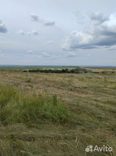 Сено в мешках