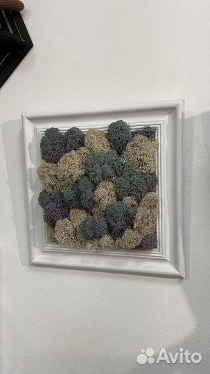 Картины со стабилизированным мхом