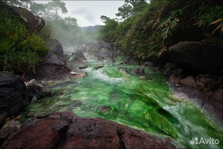 Сахалин + Курилы 9дней /8ночей
