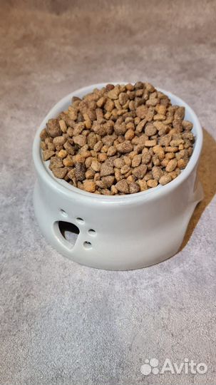Корм для собак и кошек - опт