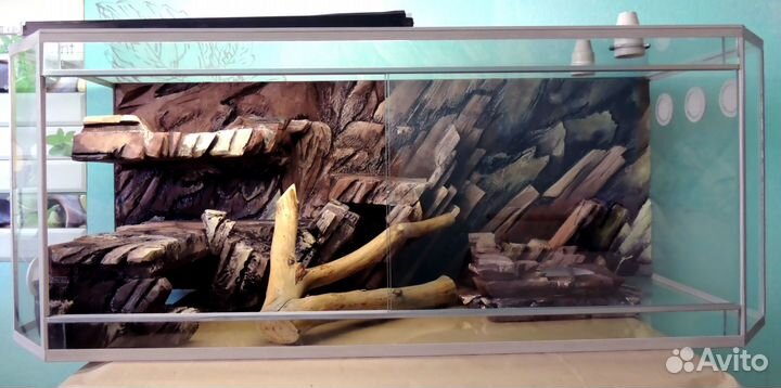 Террариумы для бородатой агамы, змей, эублефаров