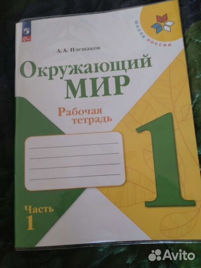 Рабочая тетрадь окружающий мир 1 класс