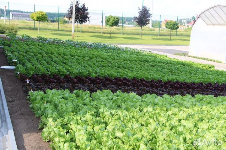 Разнорабочий (вахта)