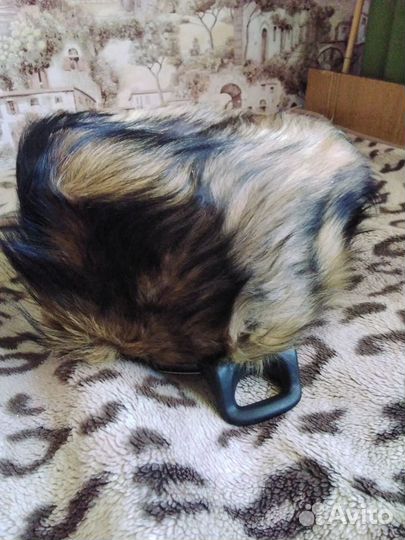 Шапка зимняя.Обманка Собака