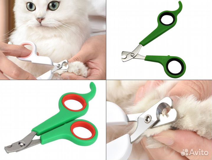 Ошейники и игрушки для кошек