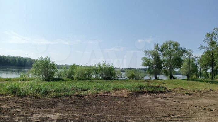 Участок 8,2 сот. (СНТ, ДНП)