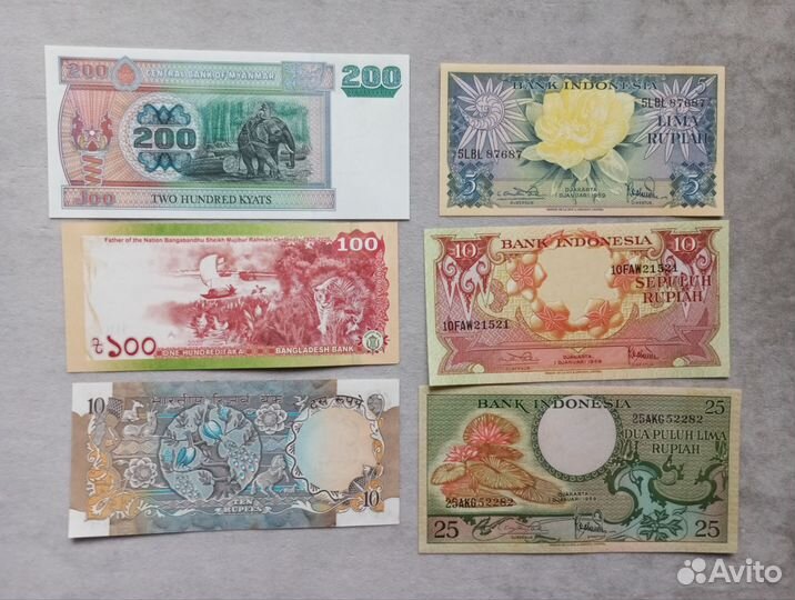 Фауна на бонах Азии