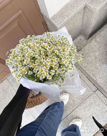 Букеты. Доставка ромашек