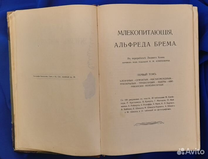 А. Брем. Жизнь животных. Млекопитающие. 1911-1915г