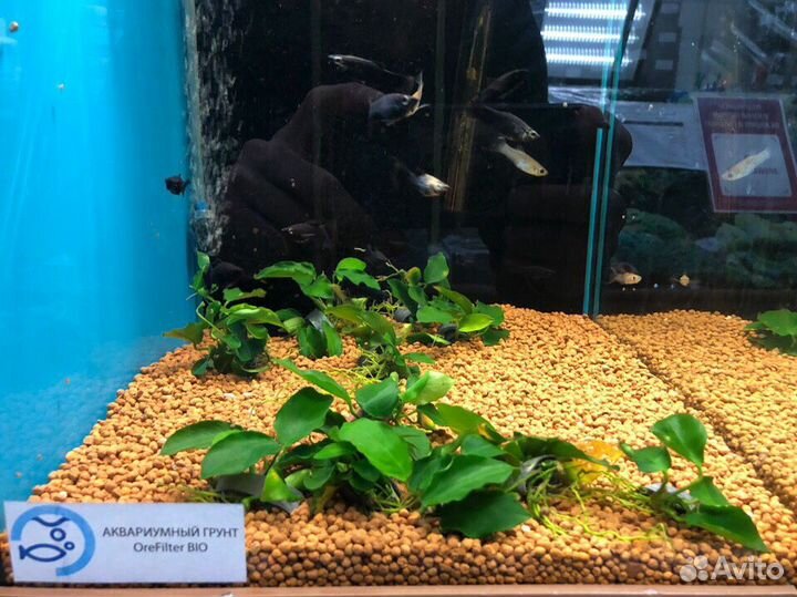 Аквариумный грунт OreFilter Bio