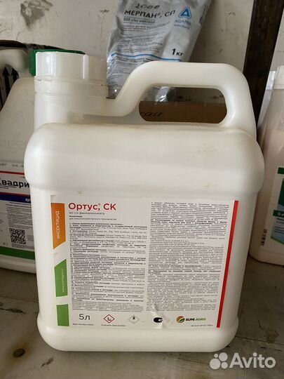 Ортус инсектицид