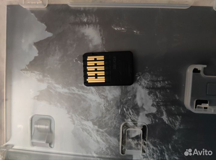 Nintendo switch skyrim