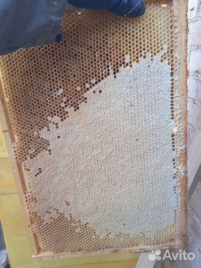 Рамки для пчёл,суш