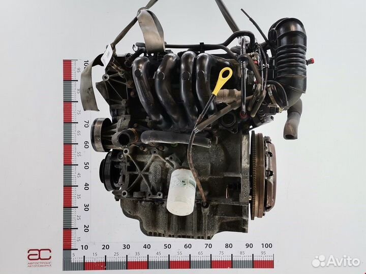Двигатель (двс) для Ford Focus 1 fydd