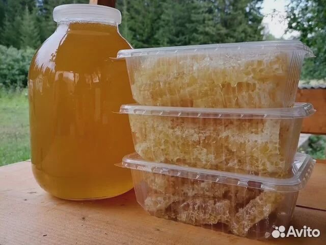 Натуральный липовый мед 2023