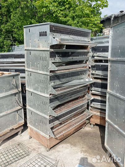 Клетки для перепелов бу