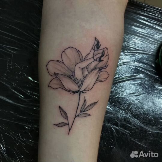 Тату мастер (студия)