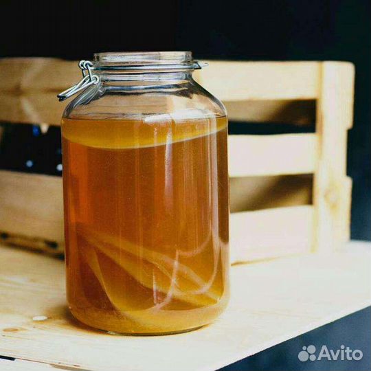 Зооглея