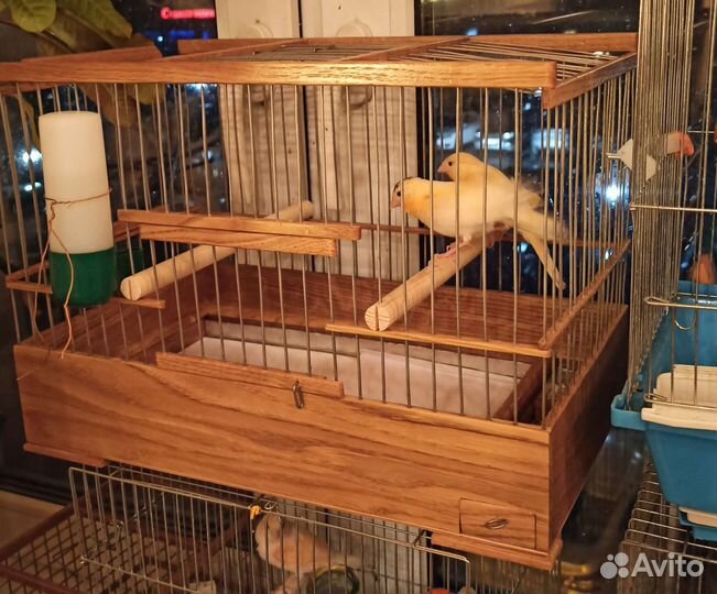 Клетки для канареек