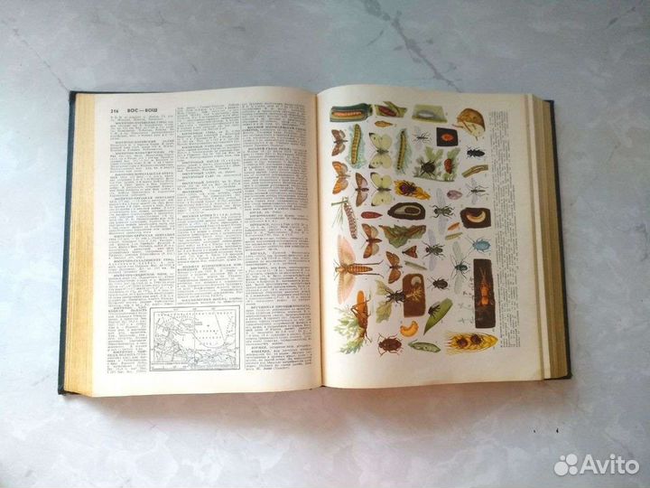 Энциклопедический словарь.В двух томах