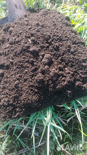 Торф в мешках