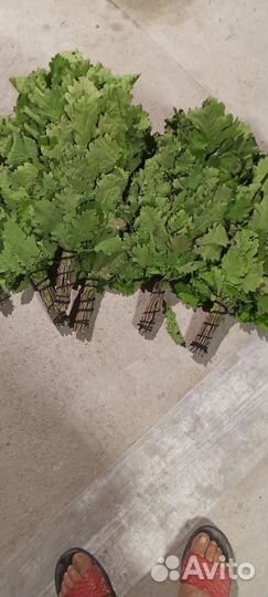 Веники для бани