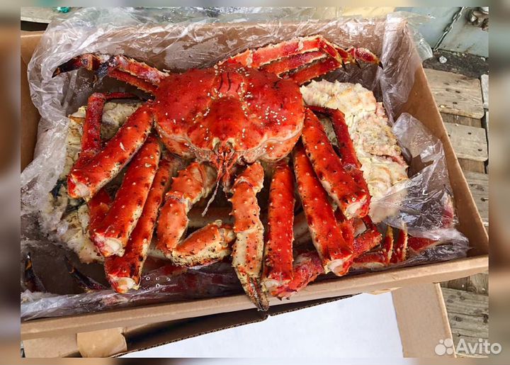 Краб Камчатский