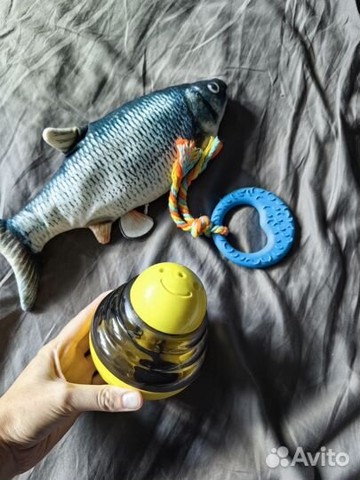 Кошачьи игрушки