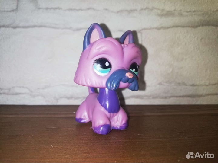 Littlest Pet Shop