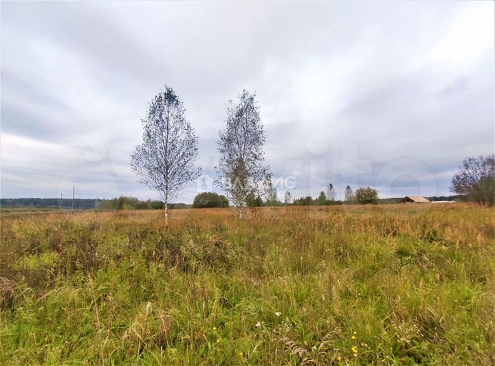 Участок 19,7 сот. (личное подсобное хозяйство (лпх))