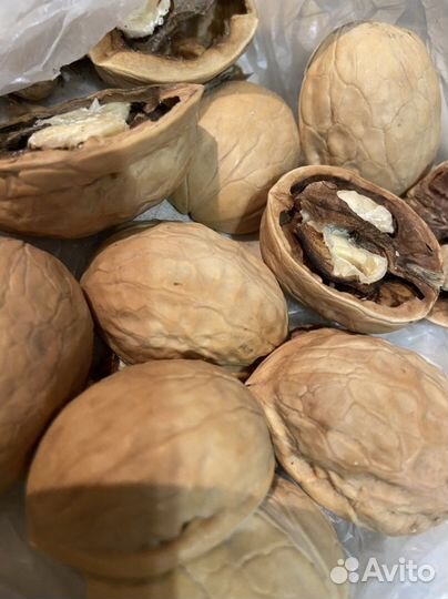 Орех грецкий