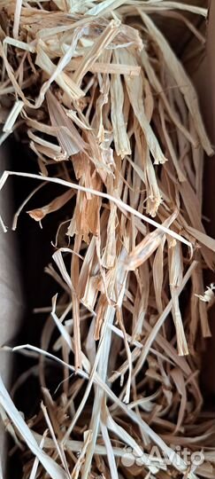 Расчески для Инны