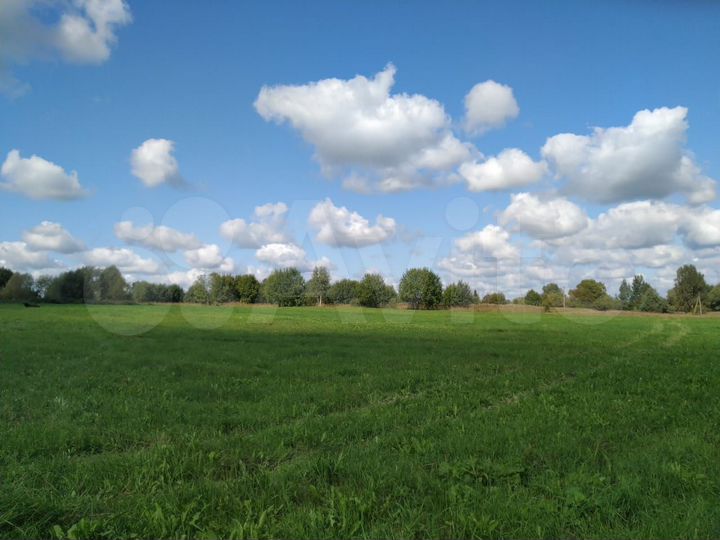 Участок 24,5 га (СНТ, ДНП)