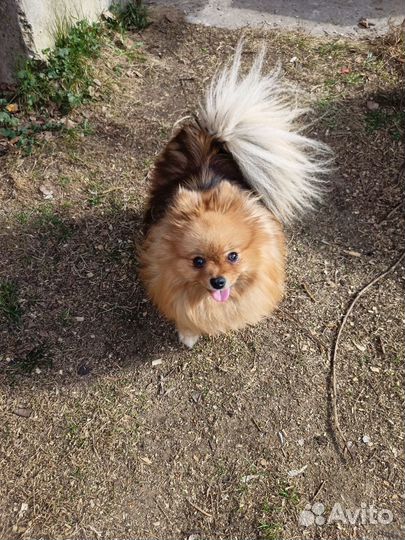 Взрослая девочка