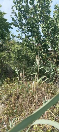 Дача 24 м² на участке 12 сот.